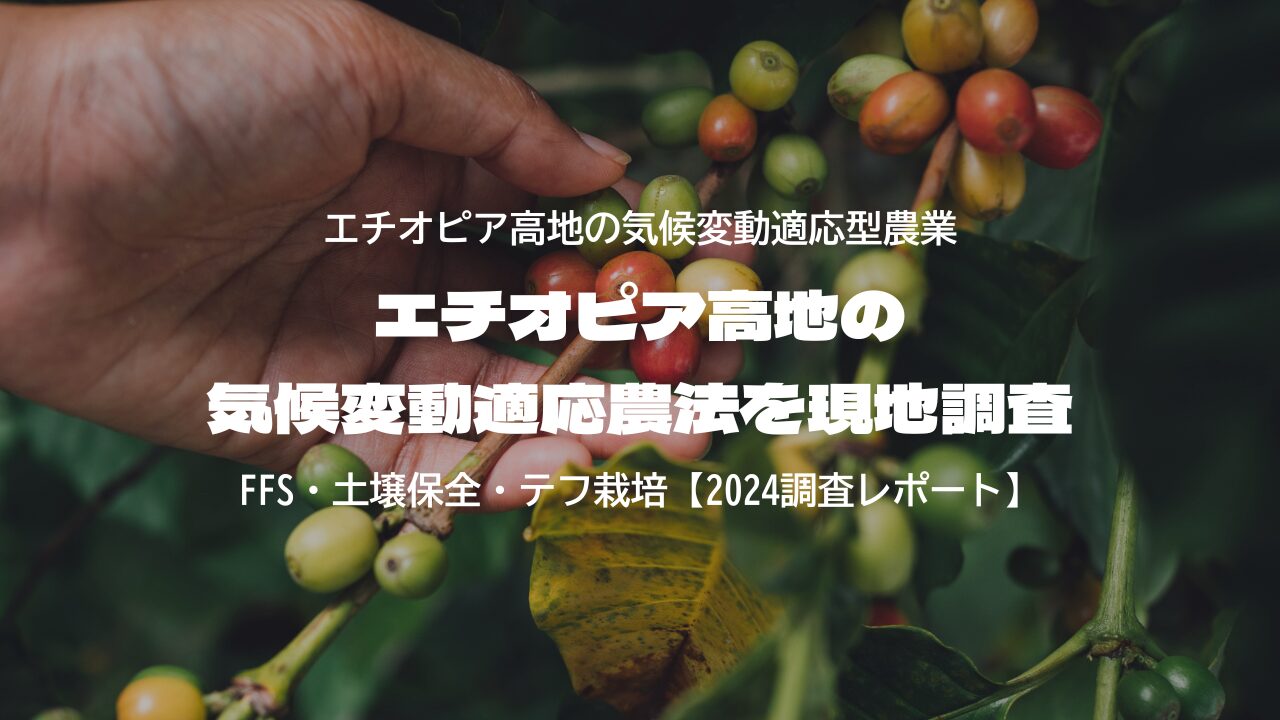 エチオピア高地の気候変動適応農法を現地調査
